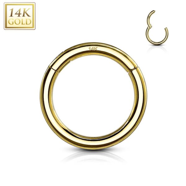 14k gold hinged segment ring