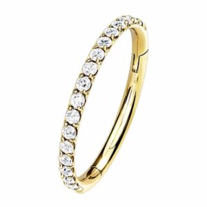 Gold Plated Jewelled Titanium Hinged Segment Ring