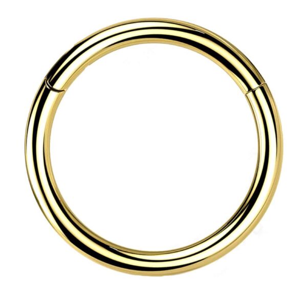 Implant Grade Titanium PVD Gold Hinged Segment Ring