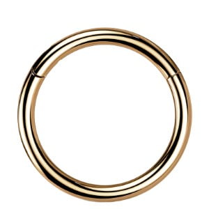 titanium hinged segment ring